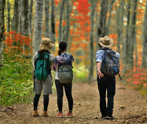 Promenades accompagnées